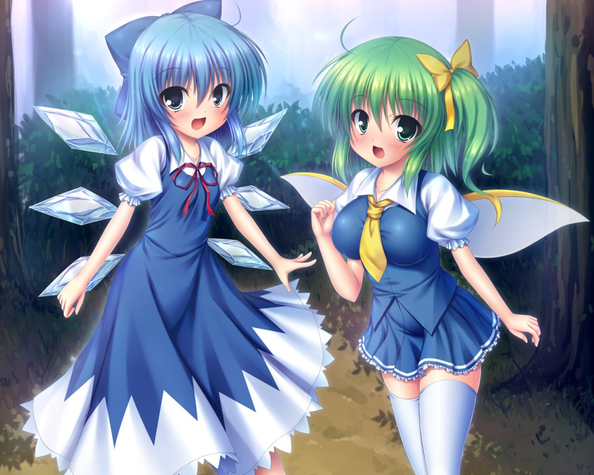 2girls blue_hair cirno daiyousei green_hair takeponi thigh-highs thighhighs touhou wings