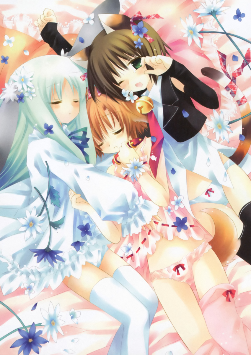 absurdres animal_ears bed bell black_legwear black_thighhighs blush bow bow_panties brown_hair cat_ears cat_tail closed_eyes collar cuddle cuddling dog_ears dog_tail fang fingerless_gloves flower gloves hair_flower hair_ornament hair_ribbon highres hinata_(pure_pure) jingle_bell lily_(pure) multiple_girls open_mouth panties pink_panties pure_pure ribbon sakurazawa_izumi tail tail_ribbon thigh-highs thighhighs underwear white_hair white_legwear white_panties white_thighhighs wink