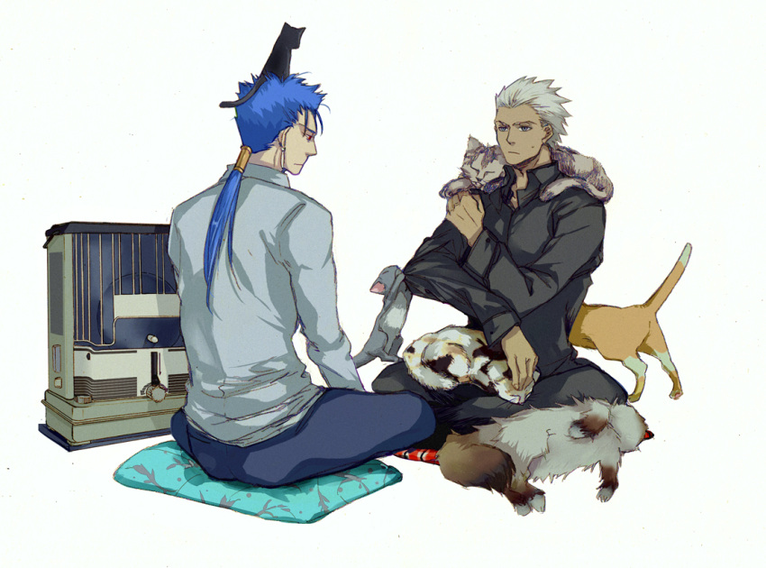 animal_on_head archer blue_hair casual cat cat_on_head crimo dark_skin fate/stay_night fate_(series) grey_eyes lancer long_hair male multiple_boys ponytail red_eyes white_hair