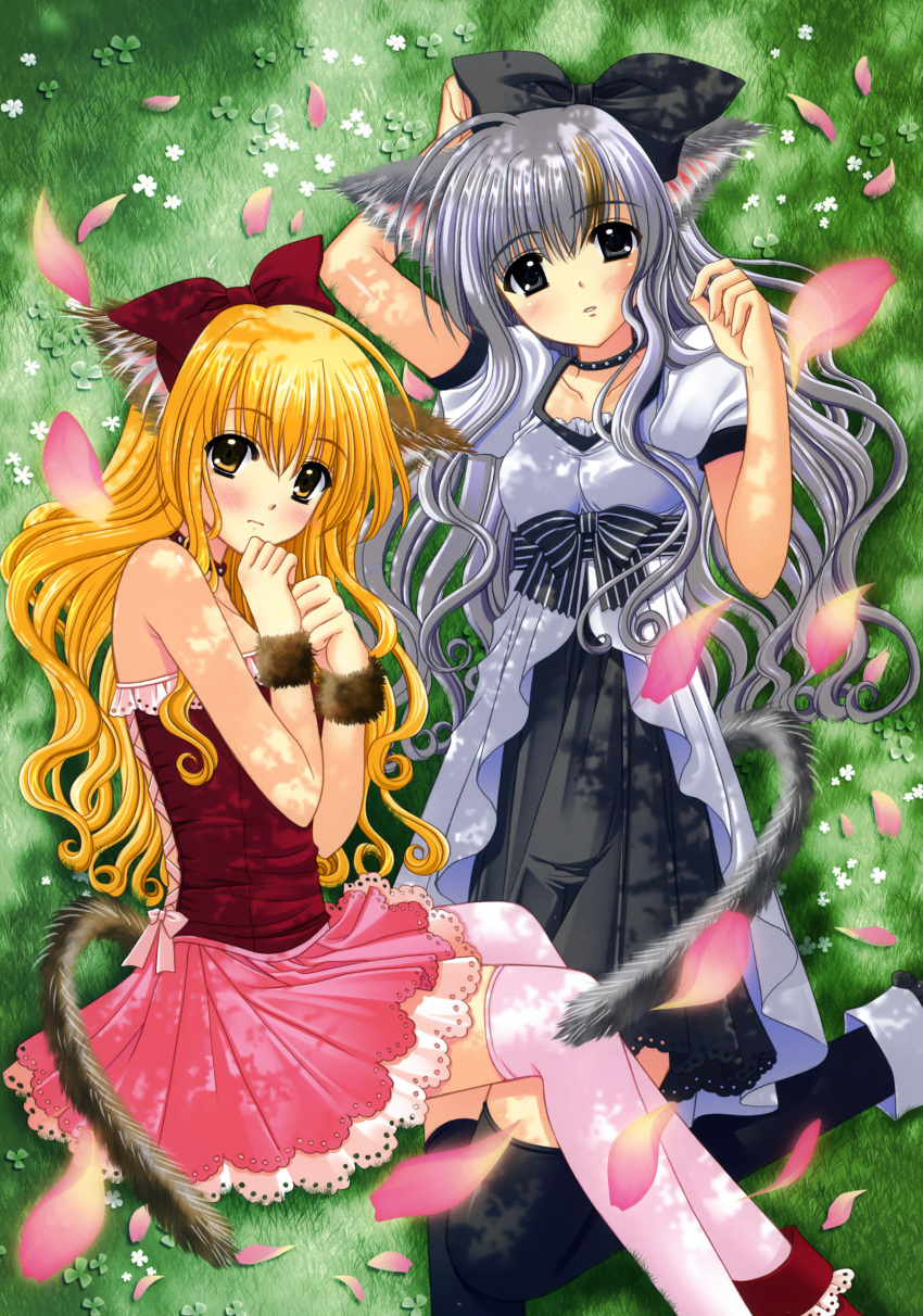 absurdres animal_ears black_legwear blonde_hair bow cat_ears cat_tail cherry_blossoms copyright_request dress grass grey_eyes grey_hair hair_bow highres lying multiple_girls nishimata_aoi pink_legwear possible_duplicate tail thigh-highs thighhighs yellow_eyes
