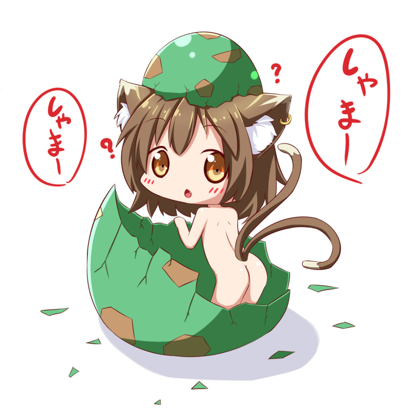 ? animal_ears ass brown_eyes brown_hair cat_ears cat_tail chen egg eggshell highres jewelry looking_at_viewer makuran nude object_on_head short_hair simple_background single_earring solo tail touhou white_background