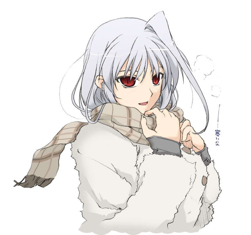 coat highres hmx99_elf long_hair lyrical_nanoha mahou_shoujo_lyrical_nanoha mahou_shoujo_lyrical_nanoha_a's mahou_shoujo_lyrical_nanoha_a's red_eyes reinforce scarf silver_hair smile solo translated translation_request