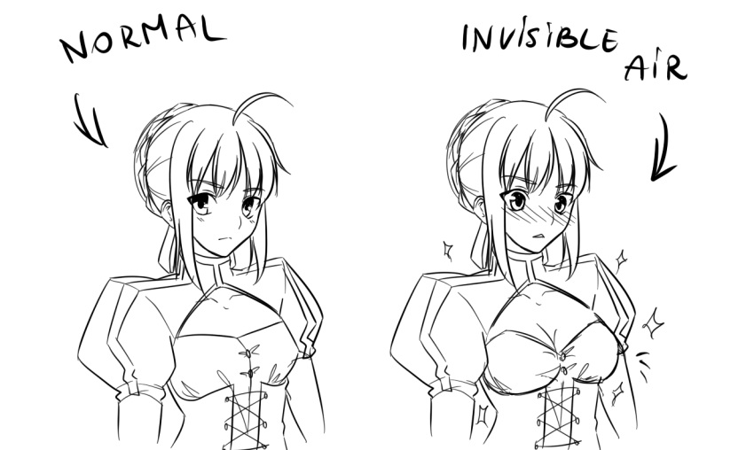 ahoge blush braid breast_expansion breasts cleavage cleavage_cutout corset directional_arrow english fate/extra fate/stay_night fate_(series) french_braid hair_bun highres ladymarta monochrome payot puffy_sleeves saber saber_extra sketch sparkle text