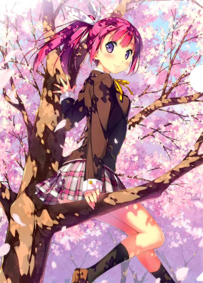 1girl absurdres black_legwear blush cherry_blossoms highres kantoku loafers long_hair looking_back original petals pink_hair plaid plaid_skirt pleated_skirt ponytail ribbon school_uniform shoes sitting skirt smile socks solo tree violet_eyes