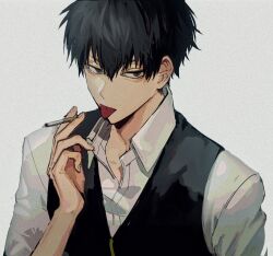 hijikata toushirou from gintama