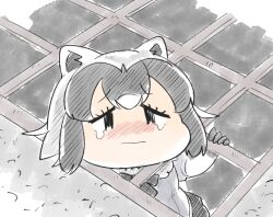 common raccoon (kemono friends) from kemono friends by panzuban