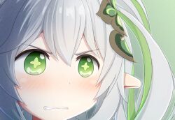 nahida (genshin impact) from genshin impact