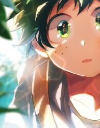 midoriya izuku from boku no hero academia