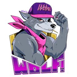 wolf o'donnell from star fox