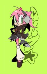 amy rose from sonic (series)