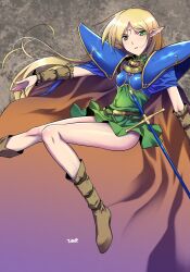 deedlit from record of lodoss war by himehachi (hime8manga)