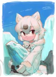 polar bear (kemono friends) from kemono friends