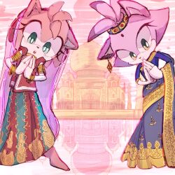 amy rose from sonic (series)