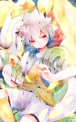 hakuryuu (inazuma eleven) from inazuma eleven (series) by kosugi nozomu