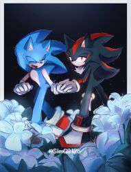 shadow the hedgehog from sonic (series) by shapam (zeepgalae)