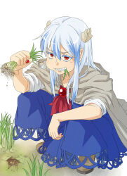 kamishirasawa keine from touhou