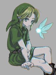 link from the legend of zelda