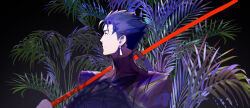 cu chulainn (fate) from fate/stay night