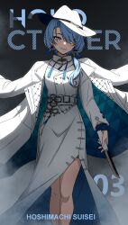 hoshimachi suisei from hololive
