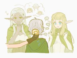 cithis from dungeon meshi