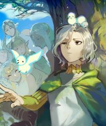 cithis from dungeon meshi