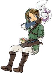 link from nintendo by yo mo
