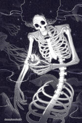 brook (one piece) from one piece