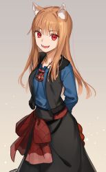 holo from spice and wolf by kawakami rokkaku