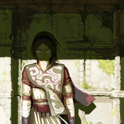 shadow of the colossus fan art