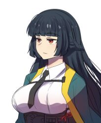 hoshimi miyabi from zenless zone zero by hinghoi