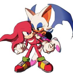 knuckles the echidna from sonic (series)