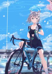 shiroko (blue archive) from blue archive