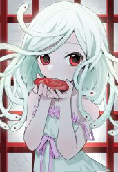 sengoku nadeko from monogatari (series)
