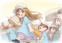 platelet (hataraku saibou) from hataraku saibou by nipeira
