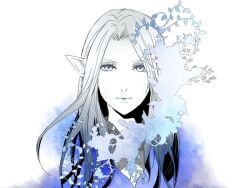 elezen from final fantasy