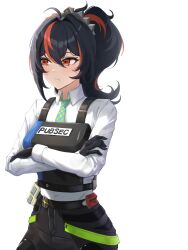 zhu yuan from zenless zone zero