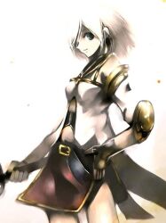 ashelia b'nargin dalmasca from final fantasy by kei (keigarou)