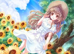 Booru post from safebooru.org