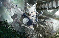 shirakami fubuki from hololive