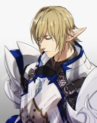 elezen from final fantasy by yomo (ym)