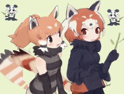 giant panda (kemono friends) from kemono friends