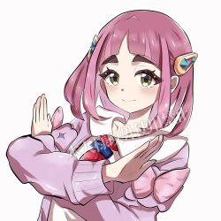 lacey (pokemon) from pokemon