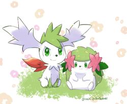 shaymin from pokemon by saki pokeoekaki