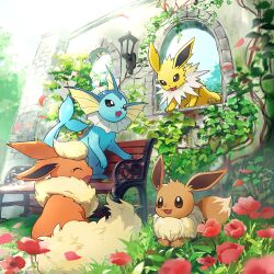 eevee from pokemon