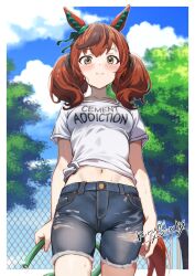 nice nature (umamusume) from umamusume