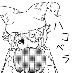 yakumo ran from touhou by rokugatsu t