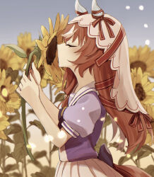 still in love (umamusume) from umamusume
