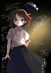 usami renko from touhou
