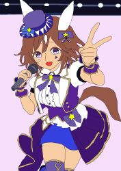 umamusume fan art
