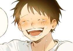 monkey d. luffy from one piece